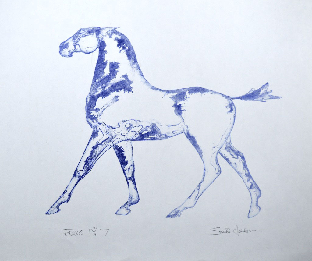 Equus No 7 (NEW)
