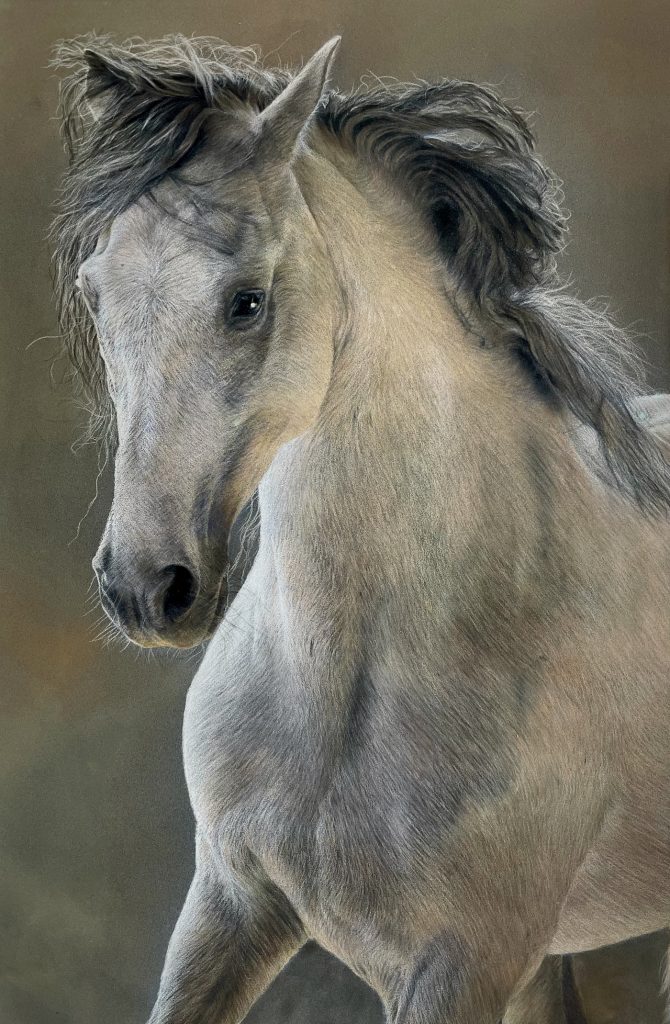 Andalusian (SOLD)