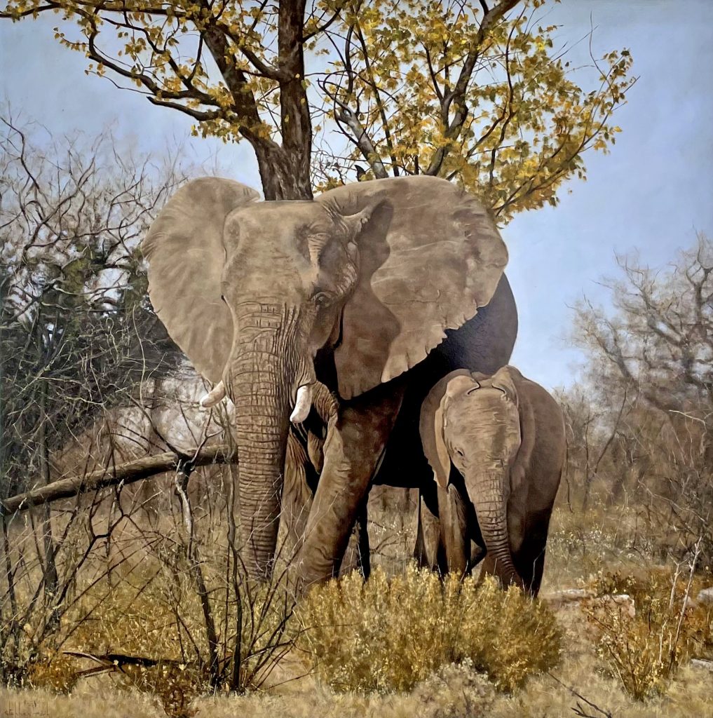 Elephant Mother & Calf