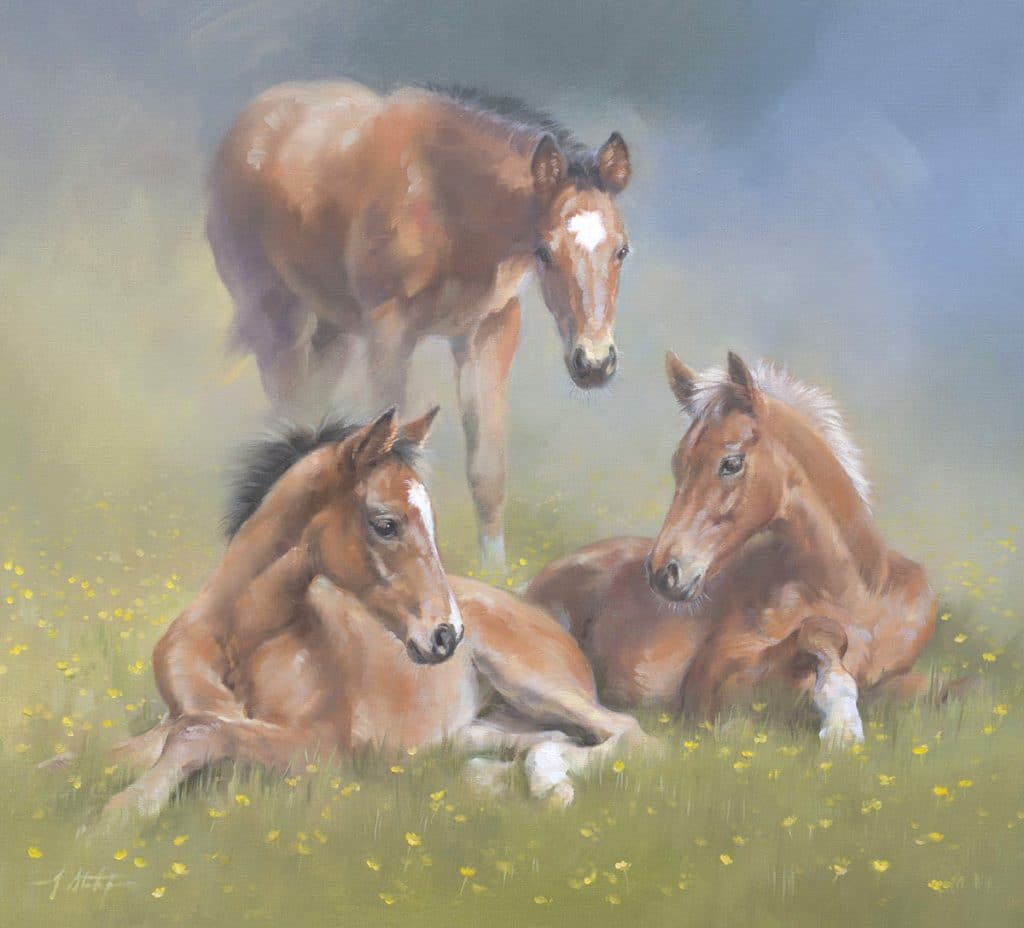 Three Foals