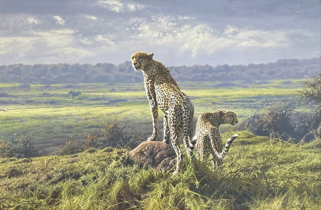 Cheetahs on the Maasai Mara